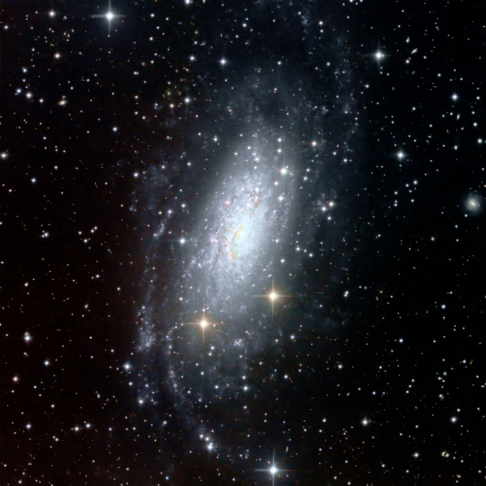 NGC3621 Telescope Live